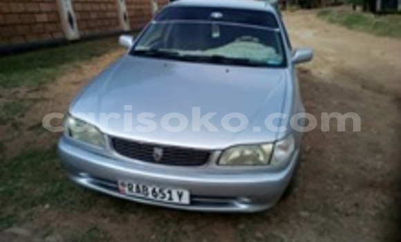 Buy Used Toyota Corolla Silver Car in Kigali in Rwanda Buy Used Toyota Corolla Silver Car in Kigali in Rwanda