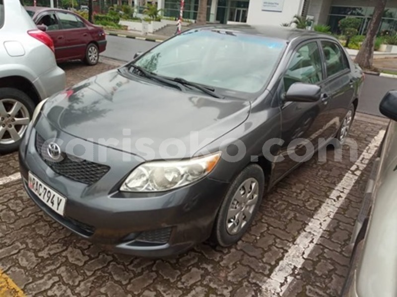 Big with watermark 60164503 169962727338152 2864173772552798208 n