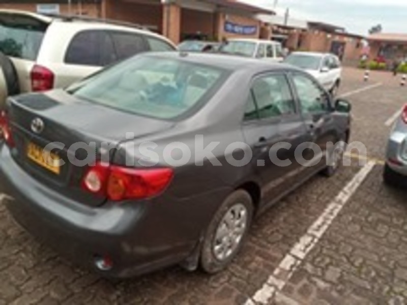 Big with watermark 60020692 169962767338148 1480425740318015488 n