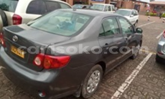 Buy Used Toyota Corolla Other Car in Kigali in Rwanda Buy Used Toyota Corolla Other Car in Kigali in Rwanda