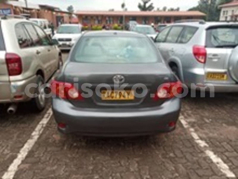 Big with watermark 60338572 169962797338145 6298879073582055424 n