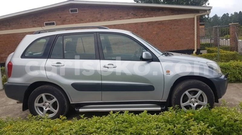 Big with watermark 60233068 169960374005054 5312525596239069184 n