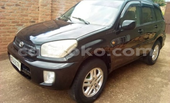 Buy Used Toyota RAV4 Black Car in Kigali in Rwanda Buy Used Toyota RAV4 Black Car in Kigali in Rwanda
