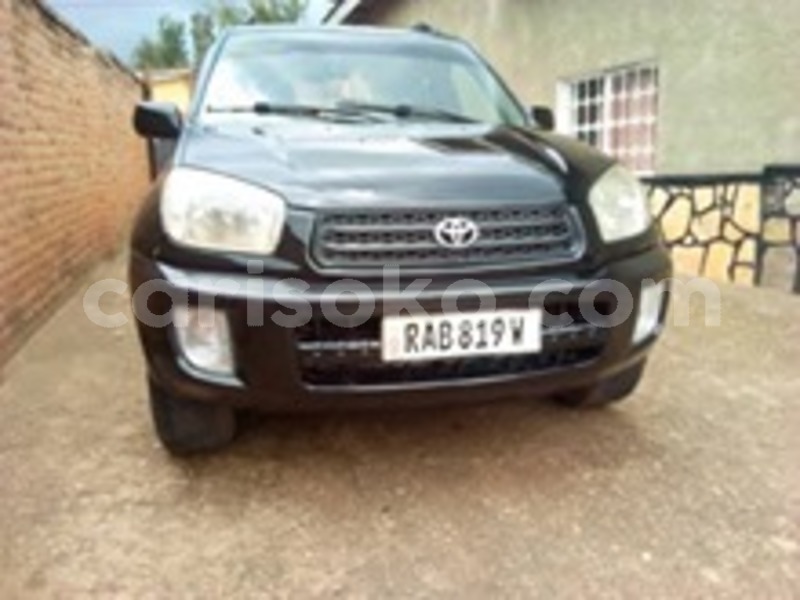 Big with watermark 60337832 169930797341345 10027507390611456 n