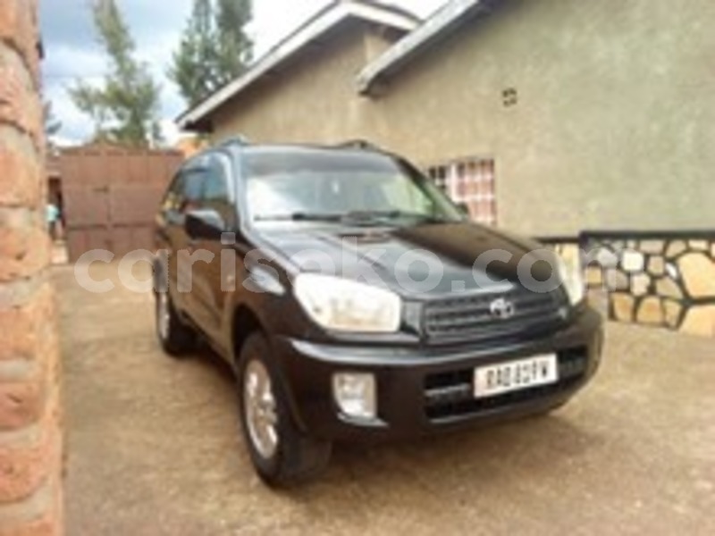 Big with watermark 60059446 169930760674682 3349855000871305216 n