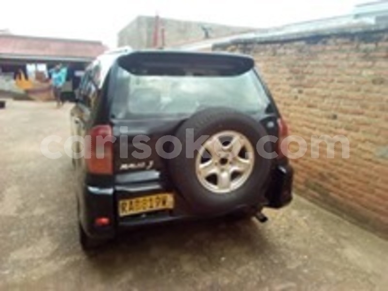 Big with watermark 60353041 169930777341347 3352159426919268352 n