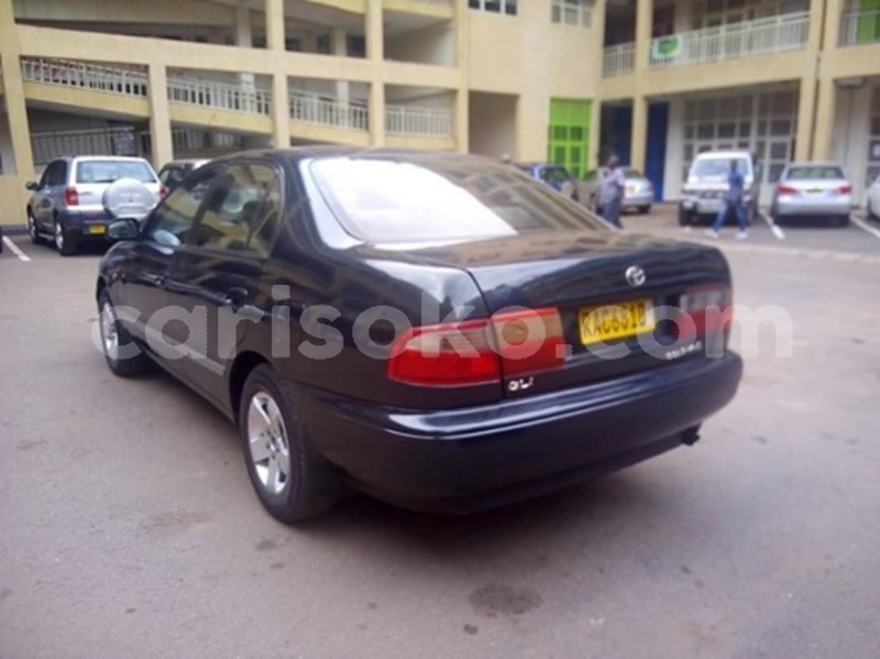 Big with watermark 60317266 169923964008695 5621725042111938560 n