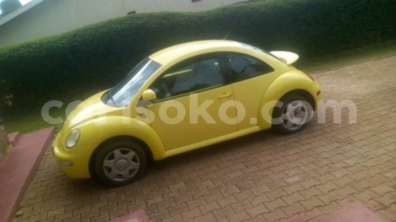 Big with watermark 60067640 169903024010789 4741772696558239744 n