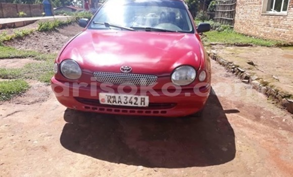 Buy Used Toyota Corolla Red Car in Kigali in Rwanda Buy Used Toyota Corolla Red Car in Kigali in Rwanda