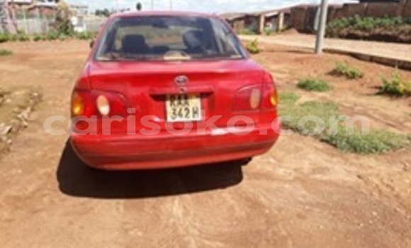 Buy Used Toyota Corolla Red Car in Kigali in Rwanda Buy Used Toyota Corolla Red Car in Kigali in Rwanda