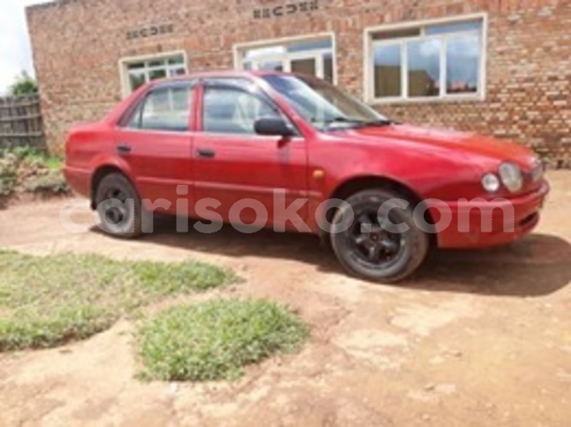 Big with watermark 60419160 2221487704555558 1558380152654659584 n