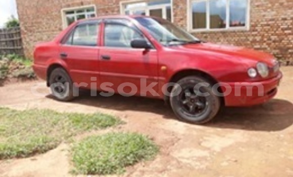 Buy Used Toyota Corolla Red Car in Kigali in Rwanda Buy Used Toyota Corolla Red Car in Kigali in Rwanda