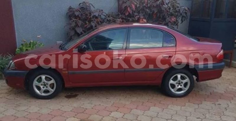 Big with watermark 60393164 2218035108234151 527663983881093120 n