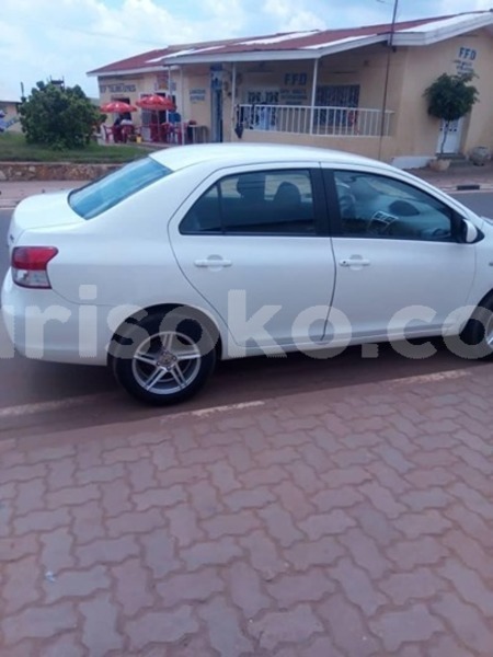 Big with watermark 59896075 2218026028235059 888421617334484992 n