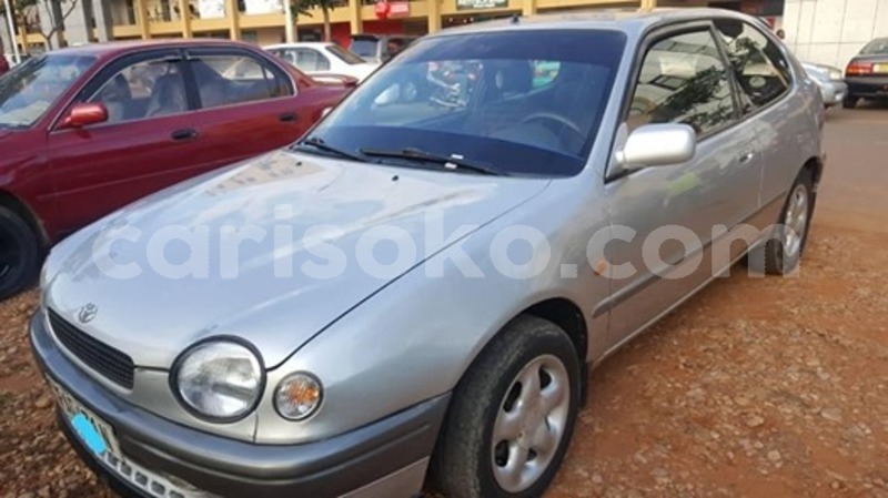 Big with watermark 59852631 2216892995015029 848993744542760960 n