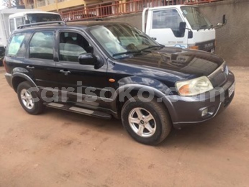 Big with watermark 60067937 2216564628381199 3160328247401512960 n