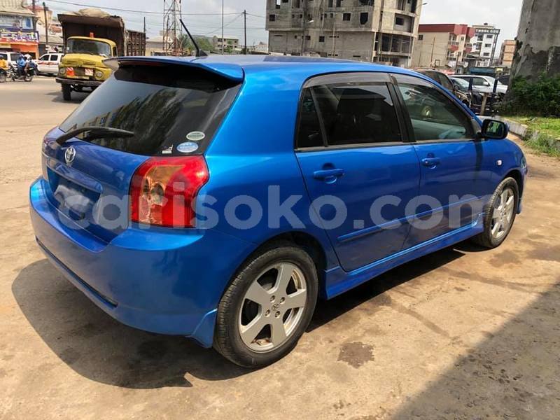 Big with watermark ss18