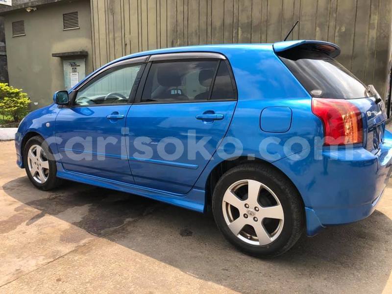 Big with watermark ss19