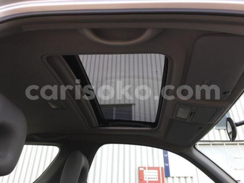 Big with watermark c10