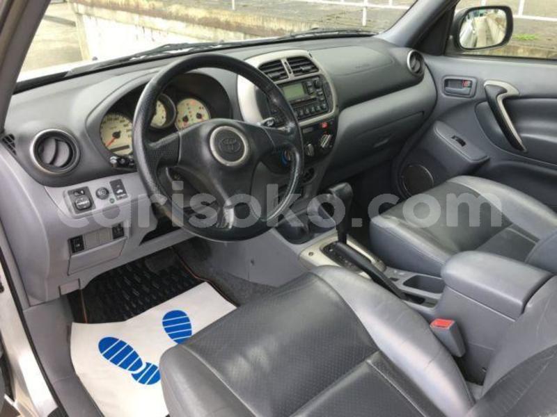 Big with watermark c11