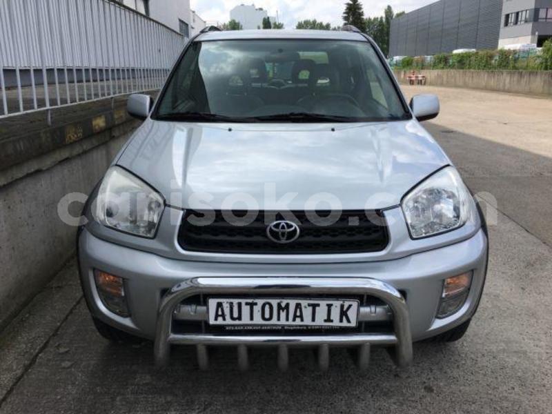 Big with watermark c13