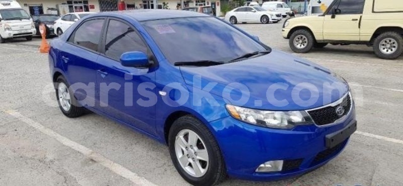 Big with watermark 1 15443346795c0cad57b4c5d