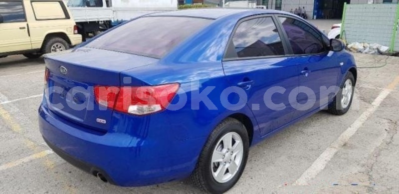 Big with watermark 2 15443346785c0cad56c5029