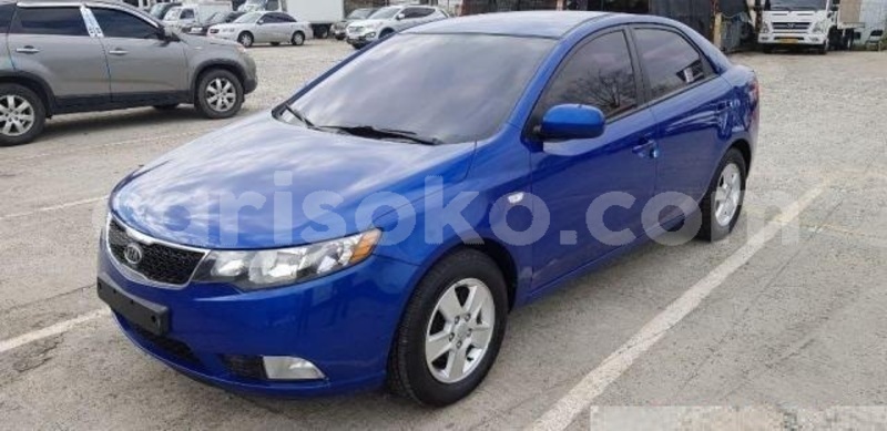 Big with watermark 3 15443346785c0cad568273a