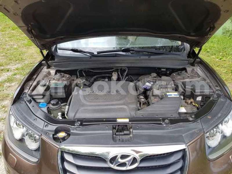 Big with watermark t4