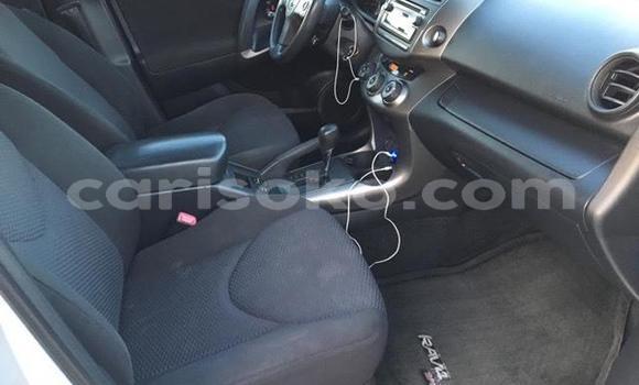 Buy Import Toyota RAV4 Silver Car in Kigali in Rwanda Buy Import Toyota RAV4 Silver Car in Kigali in Rwanda