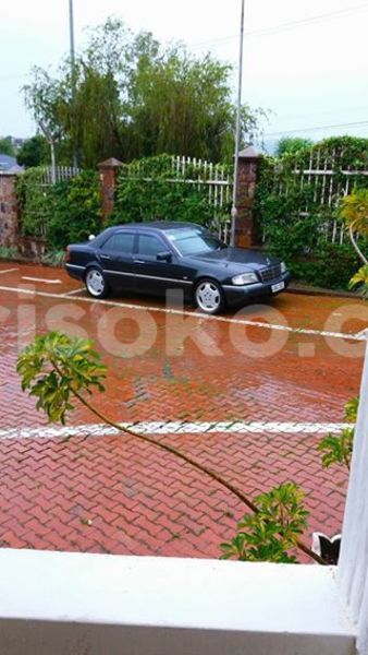 Big with watermark 17523240 446906552317802 3020784409794938775 n