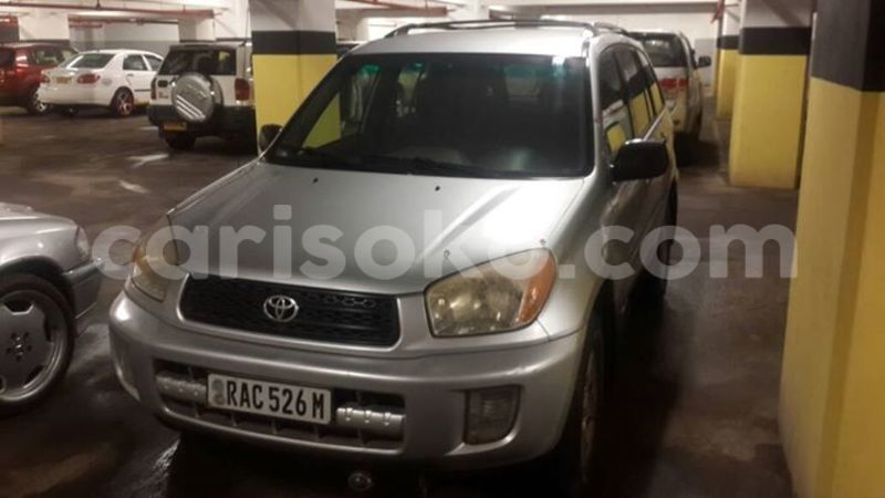 Big with watermark 17523240 446906552317802 3020784409794938775 n