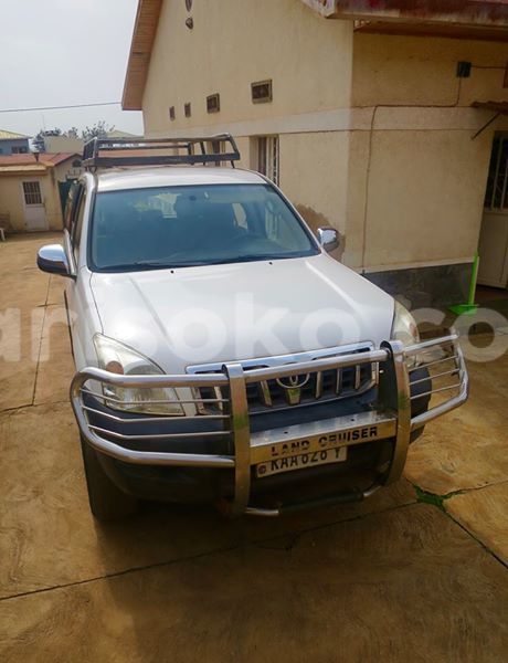 Big with watermark 17796439 1315154081906354 3590367499681648485 n