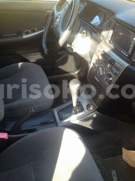 Big with watermark 17795701 10206966928850318 4670280897170890025 n