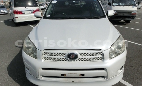 Buy Used Toyota RAV4 White Car in Kigali in Rwanda Buy Used Toyota RAV4 White Car in Kigali in Rwanda
