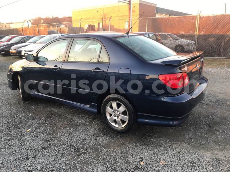 Big with watermark b5