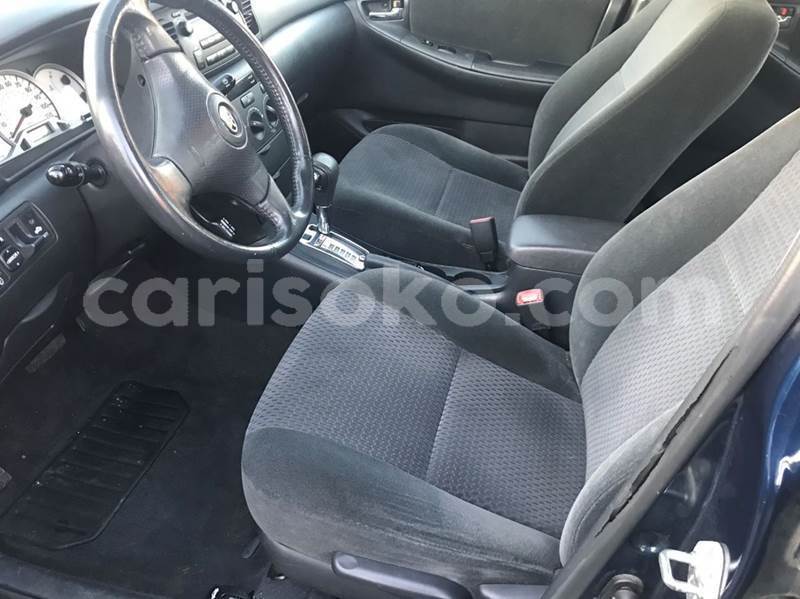 Big with watermark b11