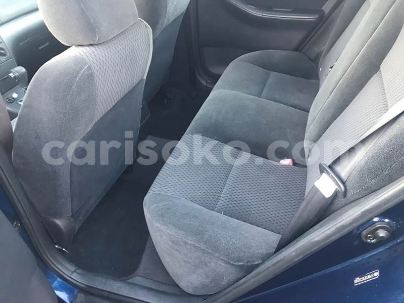 Big with watermark b12