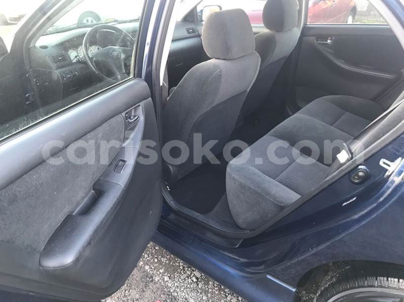 Big with watermark b13