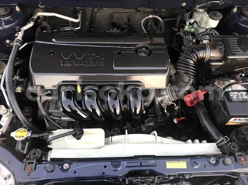 Big with watermark b18