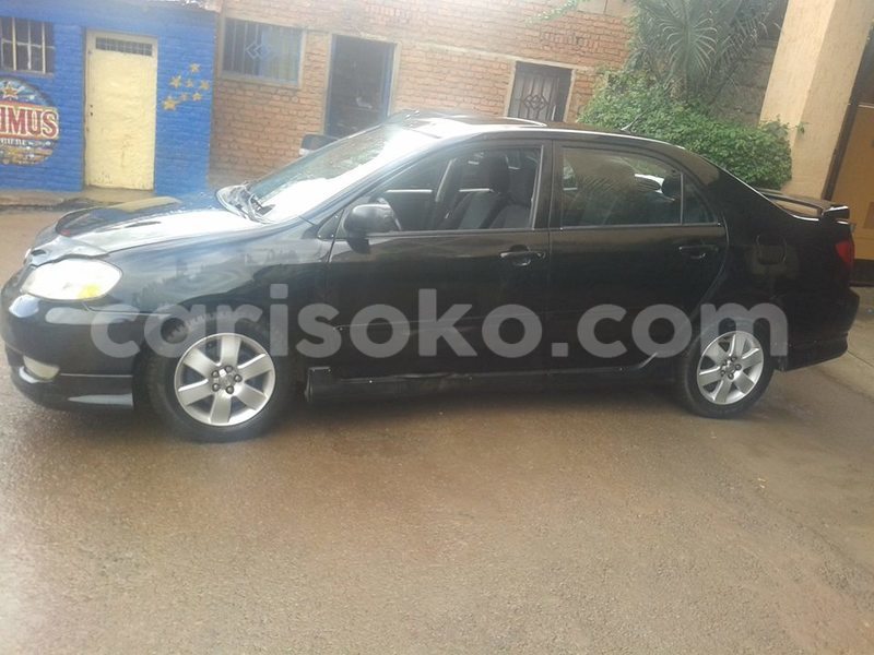 Big with watermark 17523240 446906552317802 3020784409794938775 n