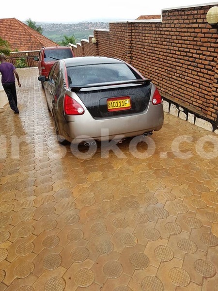 Big with watermark img 8876