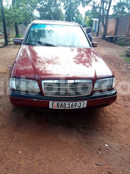 Big with watermark 61412271 2244243115613350 6350237493643706368 n