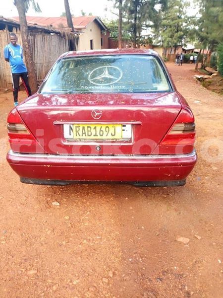 Big with watermark 60981119 2244243002280028 5973237427748208640 n