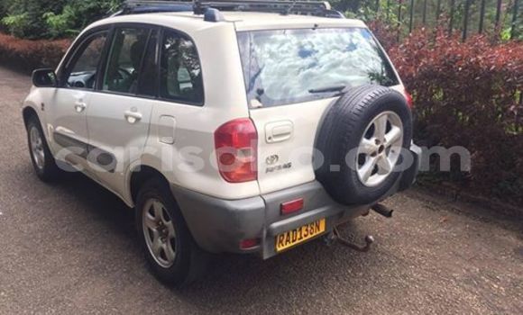 Buy Used Toyota RAV4 White Car in Kigali in Rwanda Buy Used Toyota RAV4 White Car in Kigali in Rwanda