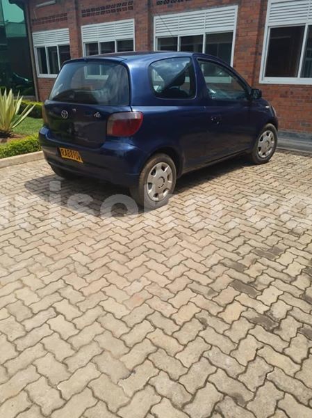 Big with watermark 61434023 2242285499142445 7936045560853692416 n