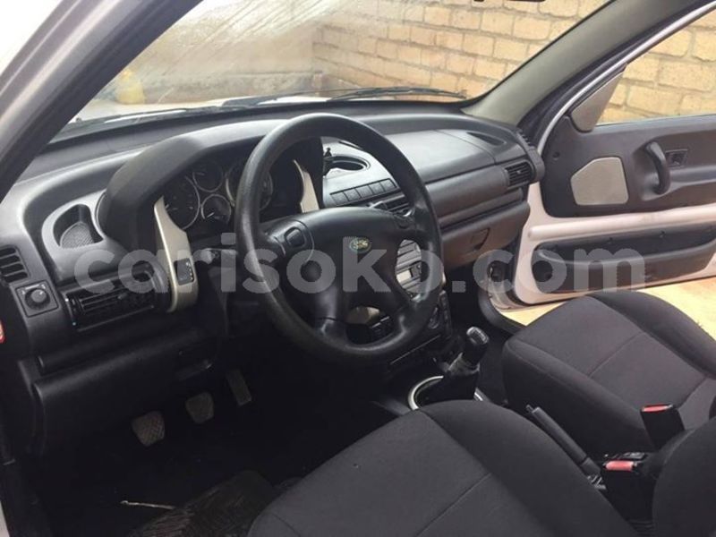 Big with watermark 60715045 2238750119495983 2337685703472709632 o