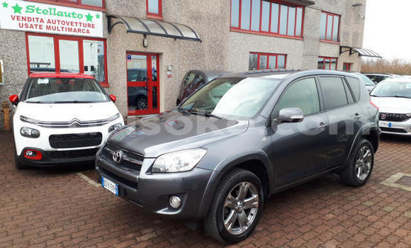 Buy Import Toyota RAV4 Beige Car in Kigali in Rwanda Buy Import Toyota RAV4 Beige Car in Kigali in Rwanda