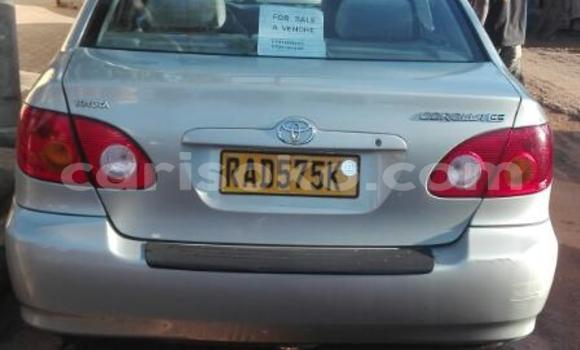 Acheter Occasion Voiture Toyota Corolla Blanc à Kigali, Rwanda Acheter Occasion Voiture Toyota Corolla Blanc à Kigali, Rwanda