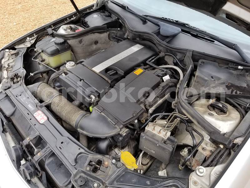 Big with watermark leo13